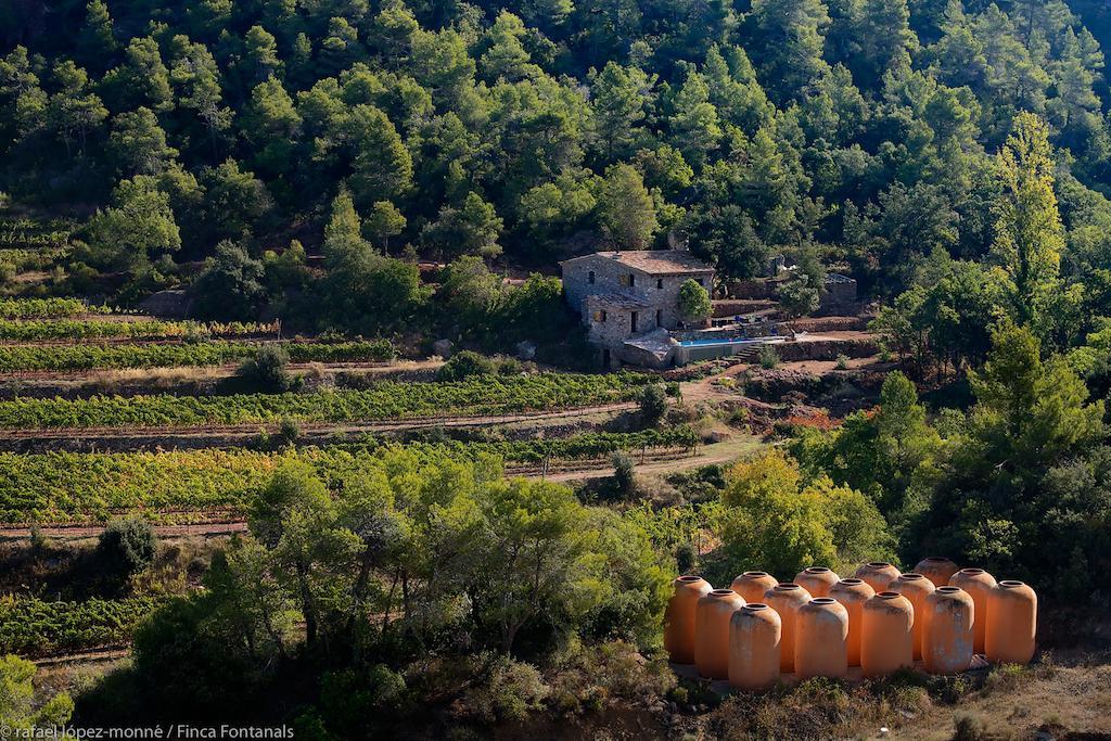 Les Quimeres Falset Δωμάτιο φωτογραφία
