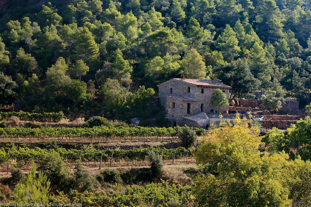 Les Quimeres Falset Δωμάτιο φωτογραφία