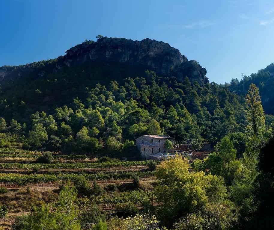 Les Quimeres Falset Δωμάτιο φωτογραφία